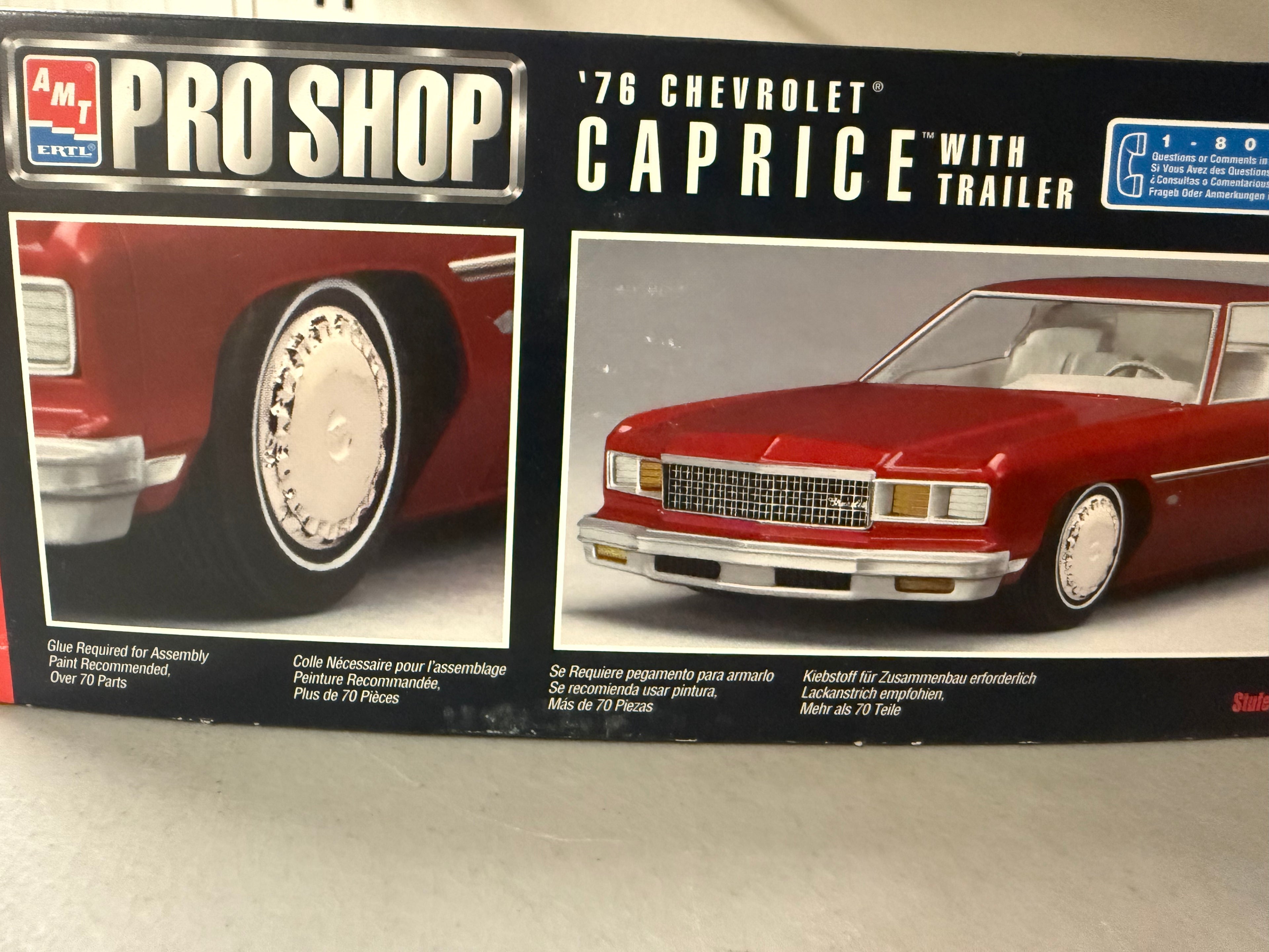 AMT '76 Caprice side details